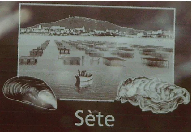 Fig. 5 :Exemple  de  signalisation  d’animation  culturelle  et  touristique  sur  l’autoroute  A 75  dans le département du Puy-de-Dôme