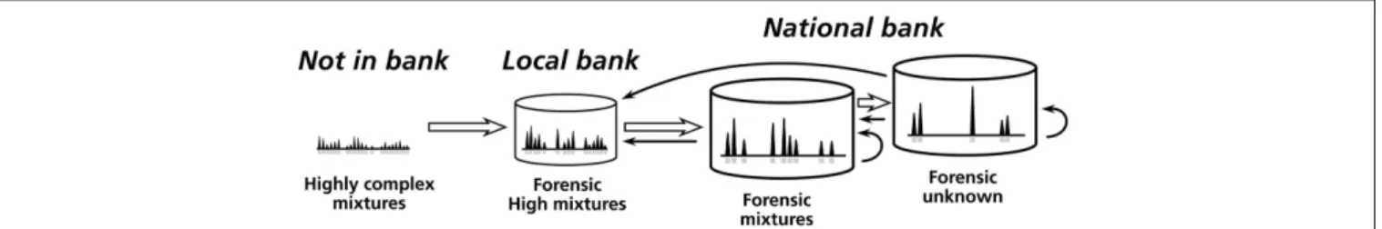 FIGURE 2 | The processes of mixture databanking and comparison at LSJML. The complexity of profiles decreases from left to right, i.e., from highly complex mixtures that cannot be deposited as is in databank to single-source profiles stored under the “fore