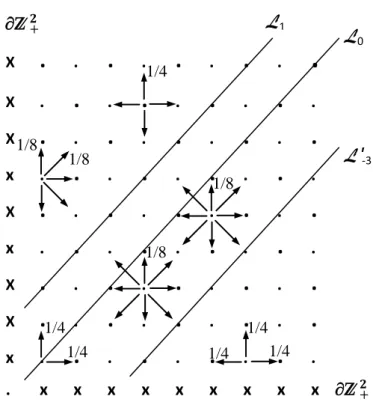 Figure 3: The walk has alternating transition probabilities inside the quarter plane and is killed on the boundary of Z 2 + which consists of {(x, 0) ; x ∈ N ∗ } ∪ {(0, y) ; y ∈ N ∗ } .