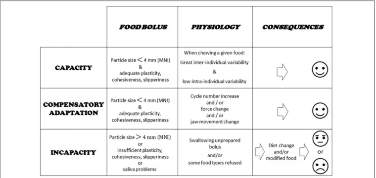 FIGURE 2 | Capacity, compensatory adaptation, and incapacity. Evaluation of food boluses is proposed through particle size measurement and a masticatory normative indicator (MNI) made with raw carrot