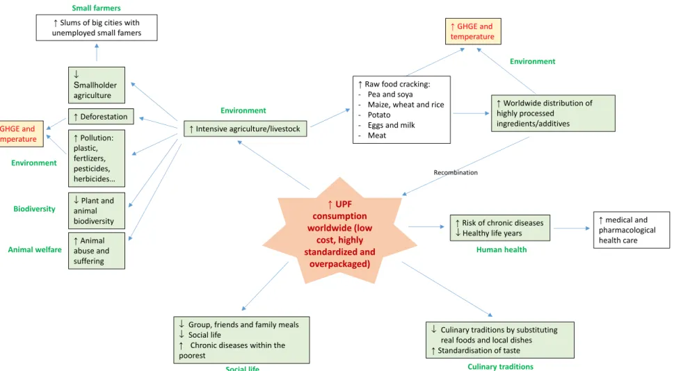 Figure 5. A summary of the impact of increased UPF consumption on food system sustainability.