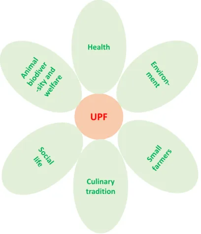 Figure 1. The potential impacts of ultra-processed foods (UPFs) on the six dimensions of food system sustainability.