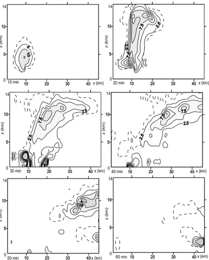 Fig. 6. Time evolution of sulfate concentration in the cloud (µg/m 3 ) in x −z plane at y = 8.0 km.