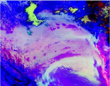 Figure 5: Pockets of open cells (purple areas) in a deck of marine stratocumulus in the southeast  Atlantic, as seen by the geostationary satellite METEOSAT-8, on 27 Nov 2005, 04:00 UT