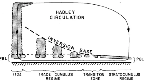 Figure 5: Transition to trade Cu: The breaking of marine stratocumulus into the trade wind  cumulus with the deepening of the MBL (from Randall, 1980a): Does it occur when the clouds  become sufficiently deep for precipiitation? If so, aerosols would affec