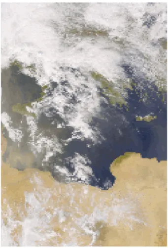 Figure 3.  SeaWiFS image taken on April, 11 th , 2002 over the Mediterranean Sea and  Southern Italy  