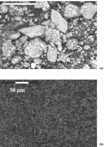 Fig. 5. Illustrative backscattered electron (BSE) image of the particles collected during the dust storm of (a) 12 April and (b) 7 June.