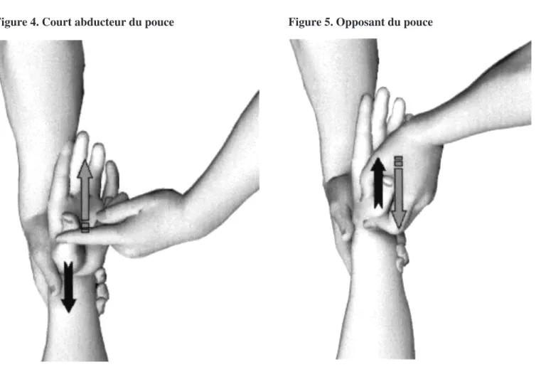 Figure 4. Court abducteur du pouce Figure 5. Opposant du pouce