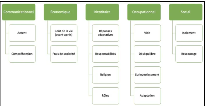 Figure 11. Défis occupationnels rencontrés par Ali. 