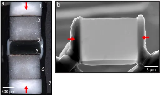 Figure 1. (a) Optical microscope image of a lizardite serpentine recovered from deformation experiments (sample D1064) and the surrounding cell assembly with 1: crushable alumina piston; 2: densi ﬁ ed alumina piston; 3: gold foil used as strain markers at 
