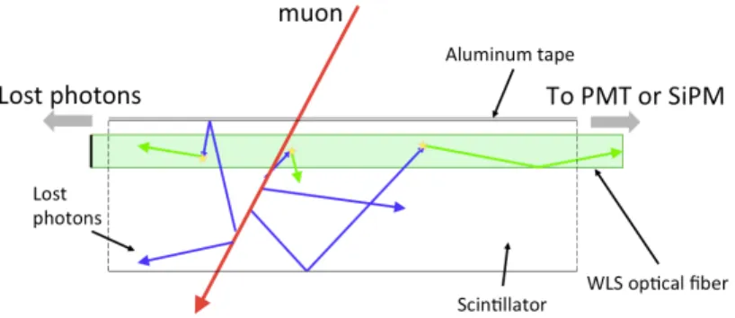 Figure 3. Schematic of a scintillator bar excited by a muon. Highlighted are the trajectories of the incident particle (in red), the photons produced within the bar (in blue) and within the fiber (in green).