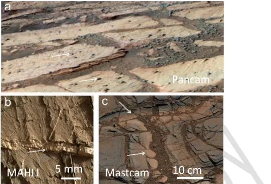 Figure 1.5:   Images illustrating diagenetic features observed in sedimentary rocks on Mars that show the  action of aqueous fluids and variable physico-chemical conditions (e.g., pH, Eh, temperature) linked to surface  and/or subsurface environments