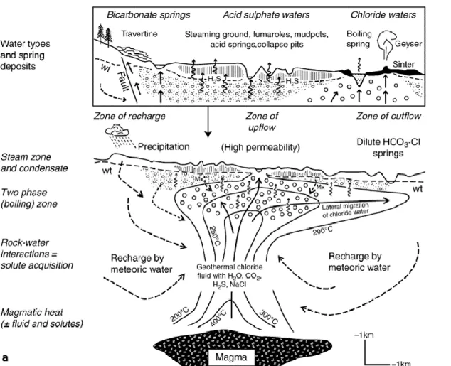 Figure 1.9:  Continental terrestrial hot spring fluid types formed by magmatic heating and circulation of mainly  meteoric waters that pick up solutes from water-rock interactions to form chloride reservoir-derived fluids (up  to 400⁰C), with variable amou