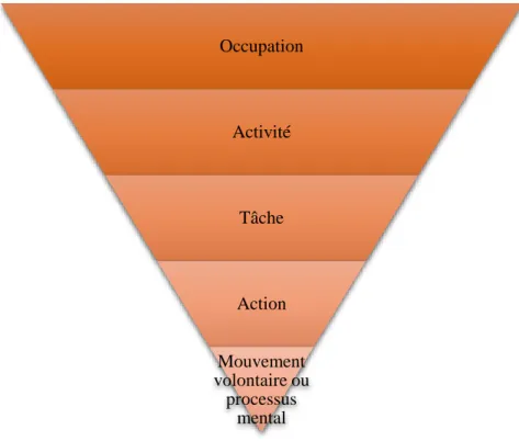 Figure 1. Taxonomie du rendement occupationnel (Polatajko et coll., 2004) OccupationActivitéTâcheActionMouvement volontaire ou processus mental