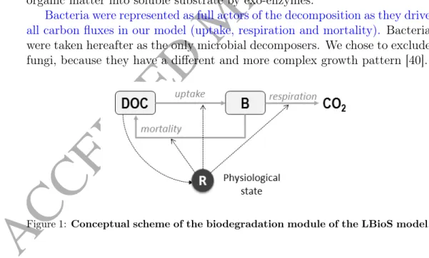 Figure 1: Conceptual scheme of the biodegradation module of the LBioS model.