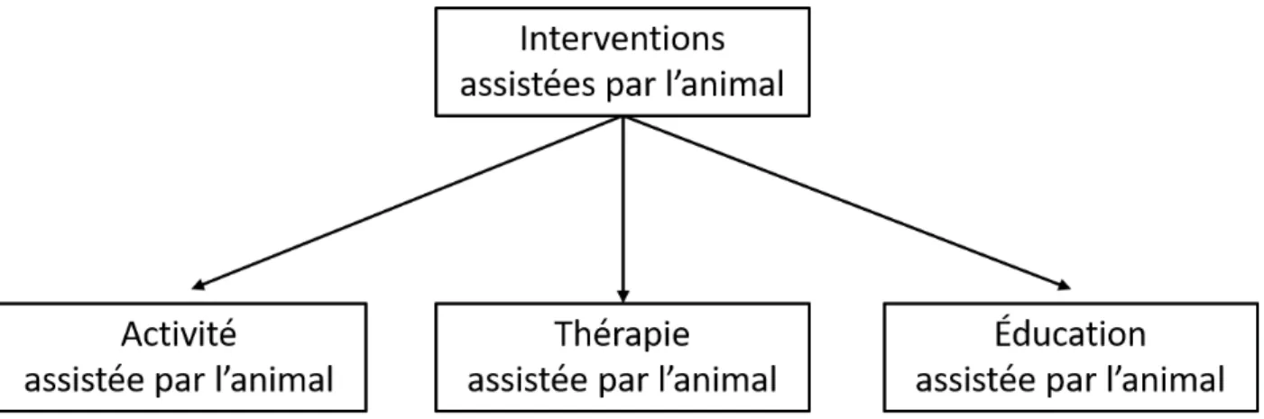 Figure 1. Les interventions assistées par l’animal 