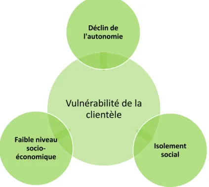 Figure 2. Facteurs de vulnérabilité de la clientèle aînée selon les participants 