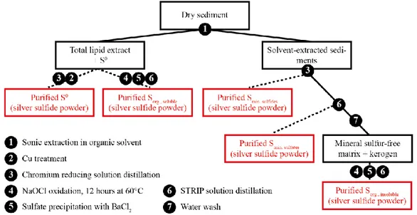 Figure  1  Workflow  for  the  sequential  recovery  and  multi-isotope  analysis  of  organic  and  mineral sulfur pools from sediments/oils