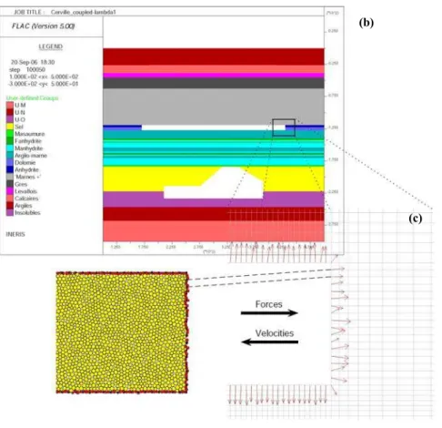 Figure 3. Model of Cerville-Buissoncourt site : (a) geometry and loading, (b) geometry of continuum (FLAC) domain, (c)  assembling of PFC particles that models a part of dolomite layers 