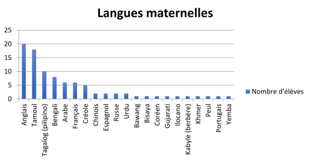 Figure 1 - Langue maternelle des élèves participants 