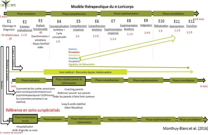 Figure 2. Modèle thérapeutique du Pi-LoriCorps 