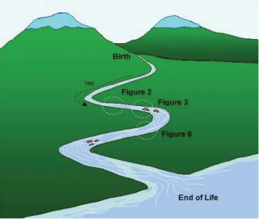 Figure 3. Schématisation de la rivière du modèle KAWA (autorisation d’utilisation de Iwama M