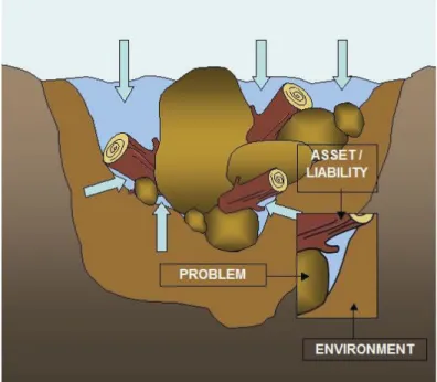 Figure 4. Coupe transversale avec plusieurs obstacles limitant le passage de l’eau (autorisation d’utilisation de Iwama M