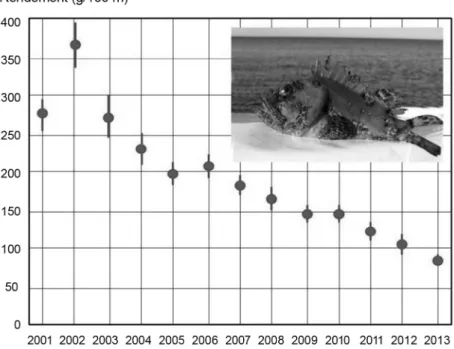 Fig. 7 – Évolution du rendement moyen (CPUE, grammes de MH par 100 m de filet) du chapon  Scorpaena scrofa, entre 2001 et 2013, autour de l’archipel de Port-Cros