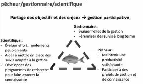 Fig. 9 – Le triangle pêcheur – gestionnaire – scientifique, à l’épreuve de la cogestion et au  chevet de la ressource