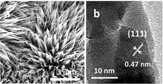 Figure 6.10. SEM (a) and HRTEM (b) image of the Co 3 O 4  nano-arrays deposited on honeycomb cordierite