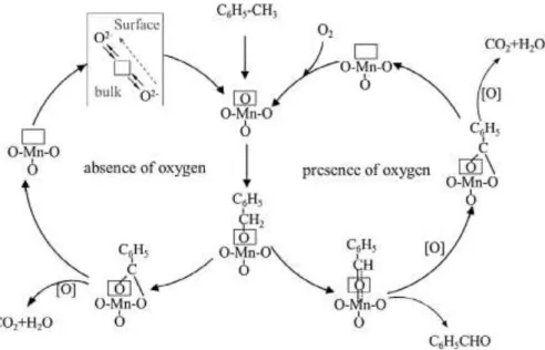 Figure 6.11 Mechanism of toluene oxidation over OMS-2 catalyst. Effect of the presence or not of O 2  in gas  phase on the initial steps of reaction