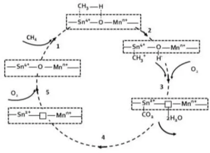 Figure 6.2. Mars and van Krevelen (MvK) mechanism of methane oxidation over Ce x Sn (1-x) O 2  catalysts
