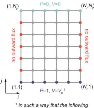 Figure 7: Tube network and boundary conditions. 