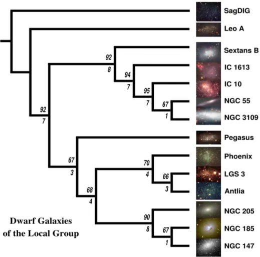 Figure 3: Cladogram of 14 Dwarf galaxies of the Local Group obtained with 24 characters (observables and derived quantities)