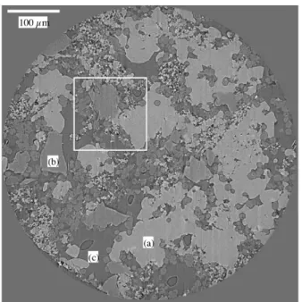 Fig. 2. One slice extracted from a 3D tomographic image of a tuffeau sample. The image is 2048 × 2048 pixels, pixel size is 0.28 µm (the radius of the sample is &#34; 600µm) with (a) resin, (b) silica (opal sphere), (c) air bubble in the resin (caused by t