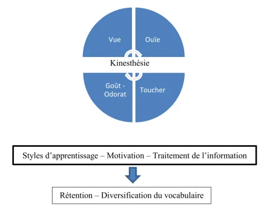 Figure  2.2.  Approche  multisensorielle  (AMS)  –  Apprentissage  expérientiel