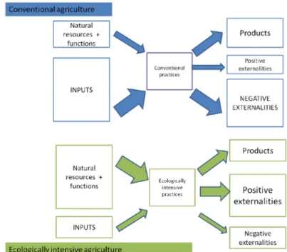 Figure 2: Comparison des conventional and ecologically intensive agricultures  (Griffon, 2013a)