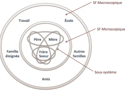 Figure 1.  Le modèle des systèmes familiaux (illustré par l'étudiante-chercheuse)