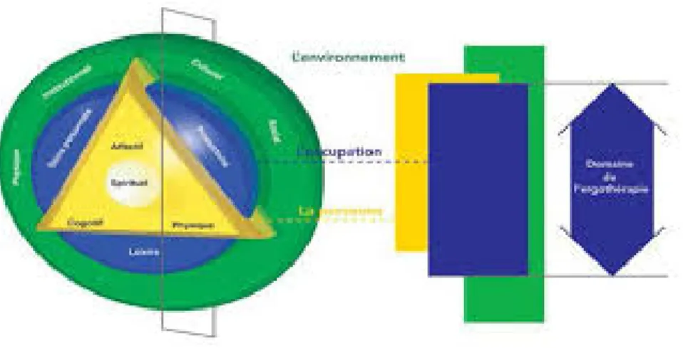 Figure 1. Le MCREO, dans Townsend, E., Polatajko, H. J., &amp; Cantin, N. (2013). Habiliter à l'occupation : faire avancer  la perspective ergothérapique de la santé, du bien-être et de la justice par l'occupation (2e éd., p.15-44)