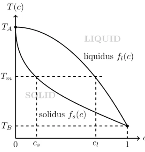 Figure 1. Phase diagram of the binary mixture