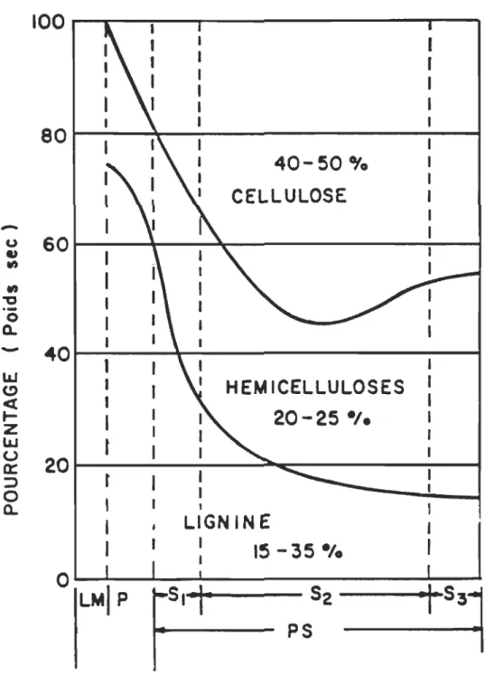 Figure 1.2 : Distribution des constituants chimiques dans la paroi de  la trachéïde. 