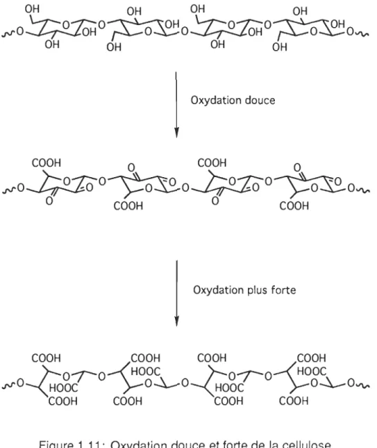 Figure  1.11:  Oxydation  douce et forte de la cellulose 