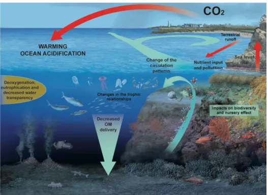 Figure SPM.6 | Climate change drivers potentially affecting marine pelagos and benthos  in the Mediterranean Sea