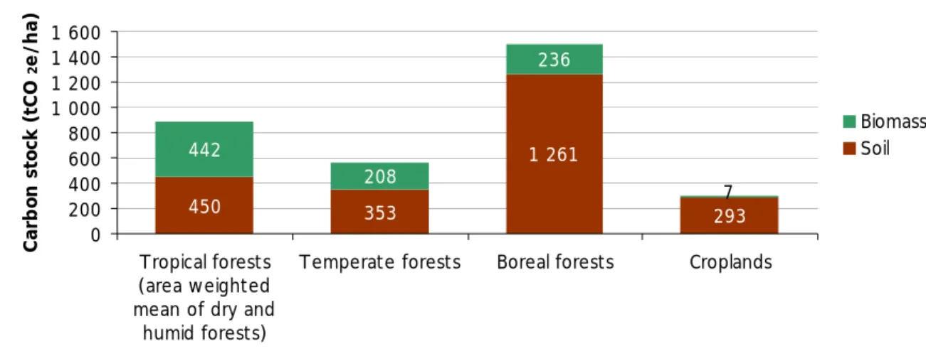 Figure 5 - Carbon content of forests 