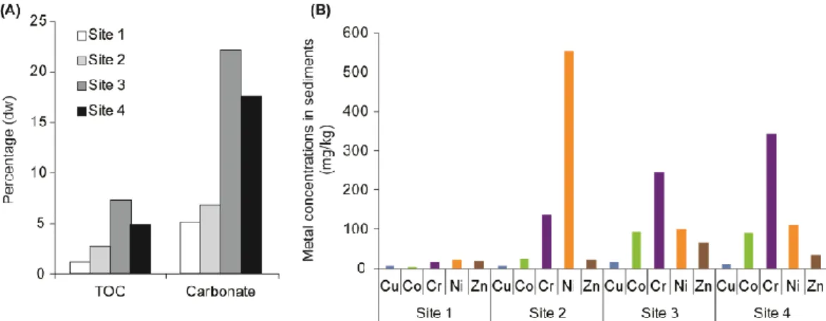 Figure 1. Core parameters in sampled sediments (A) total organic carbon TOC and carbonate as percentage of sediment  dry weight, and (B) copper , cobalt, chromium, nickel and zinc total concentrations (mg/kg)  