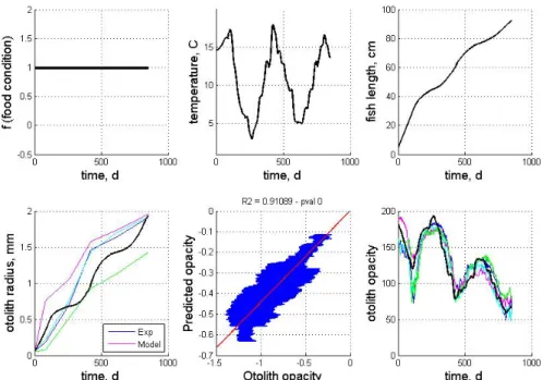 Figure 5: Model simulation with the proposed specific temperature effect on otolith  opacity: from left to right, feeding conditions, temperature series, somatic growth, otolith  growth, predicted opacity vs