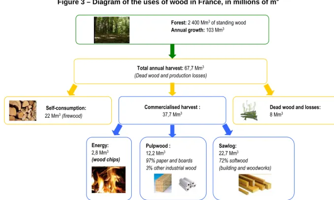 Figure 3 – Diagram of the uses of wood in France, in millions of m 3   