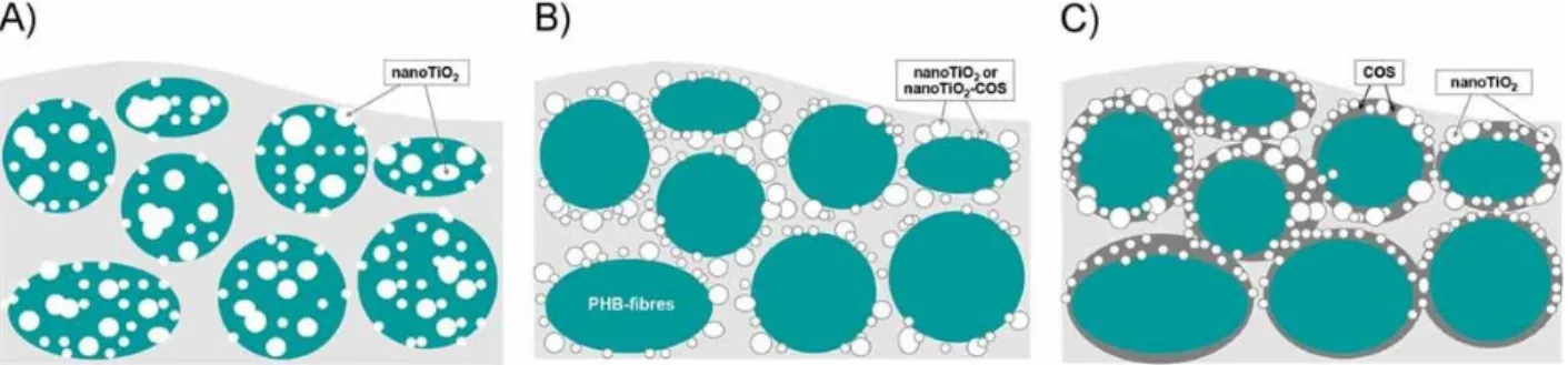 Figure  4.  Location  of  TiO 2   NPs  in  a  poly(3-hydroxybutyrate)  (PHB)  nanofibrous  mat  as  a  function of the following strategies: A) blend electrospinning of the dispersion of nanoTiO 2  in  PHB  solution,  B)  simultaneous  electrospinning  of 
