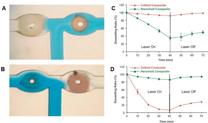 Figure 8. Microfluidic device with two valves. The right one is filled with gold nanospheres  while the left one is filled with the gold nanoshells