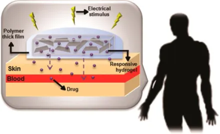 Figure  9.  Scheme  illustrating  the  challenges  associated  with  transdermal  drug  release  mediated by an electrically responsive hydrogels incorporated with electrical nanoconductors